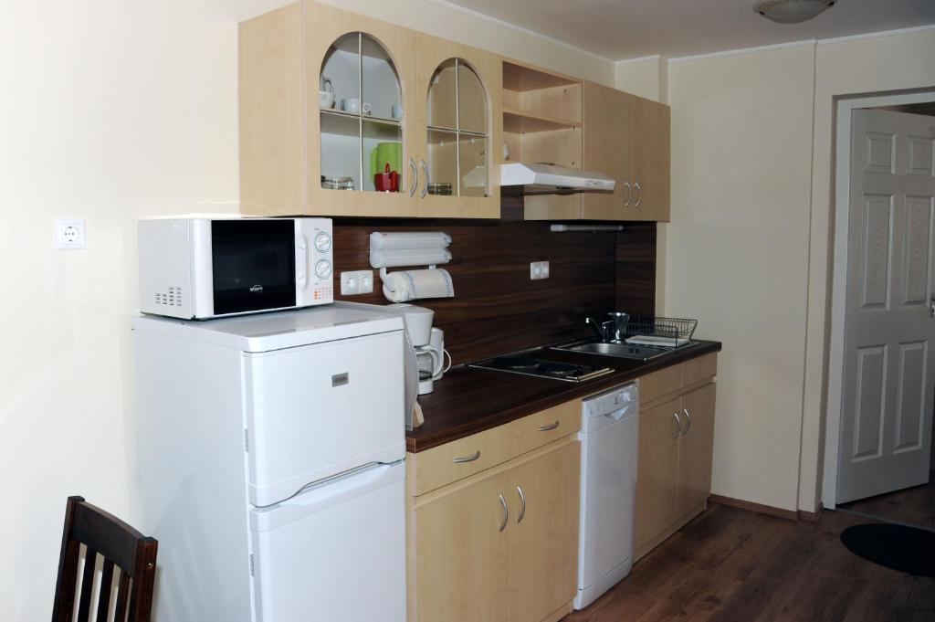 Arany Szolo Wellness Apartmanhaz Heviz Room photo